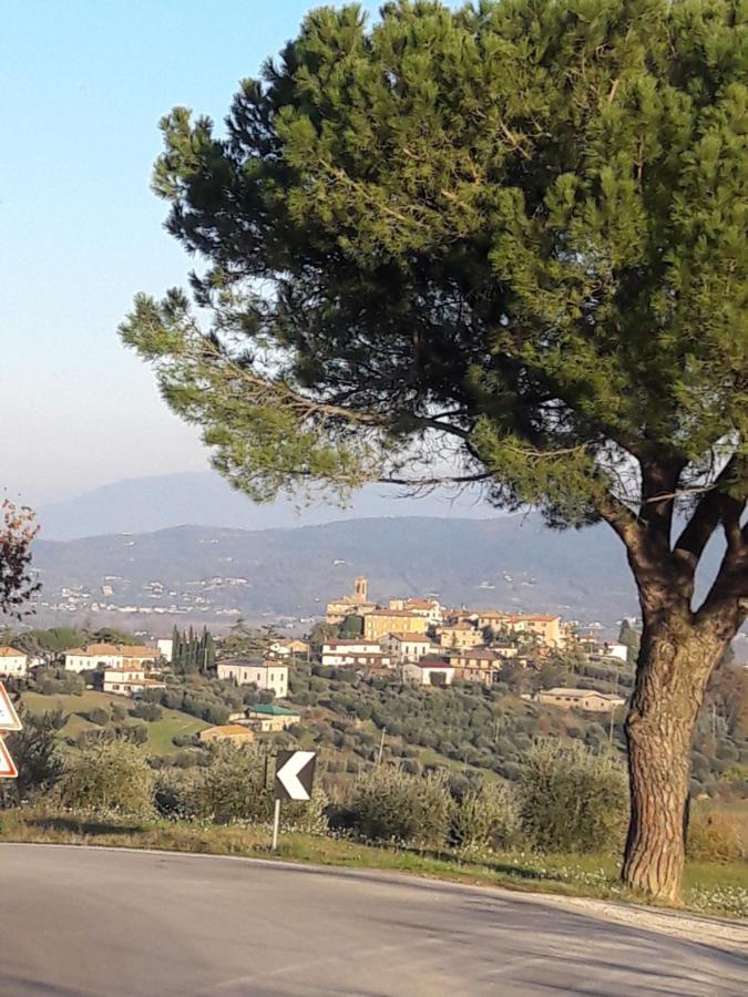 B&B Cum Grano Salis Castello delle Forme Eksteriør bilde