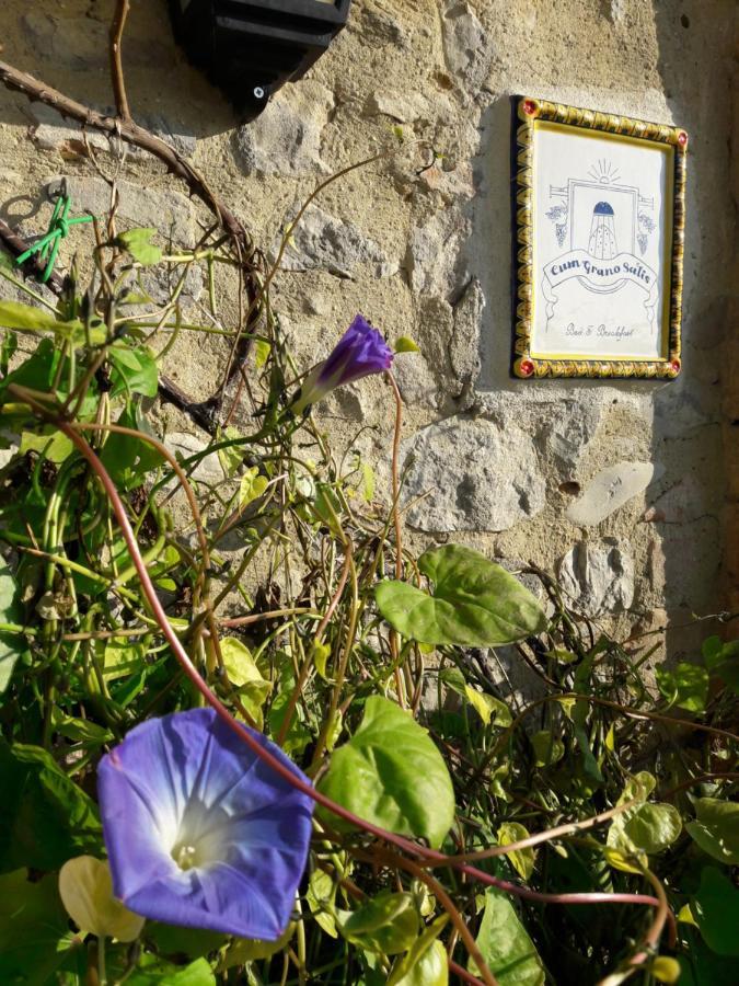 B&B Cum Grano Salis Castello delle Forme Eksteriør bilde